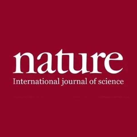 麦立强等最新Nature子刊：电场辅助质子耦合增强析氧反应！